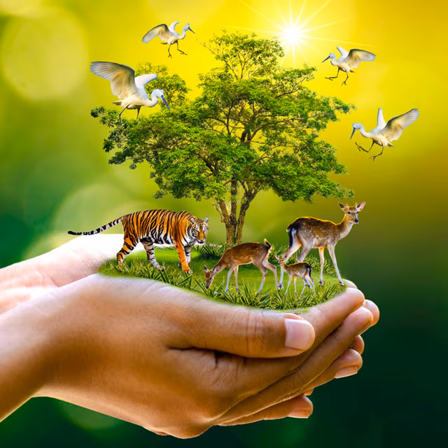 National Energy Conservation Day