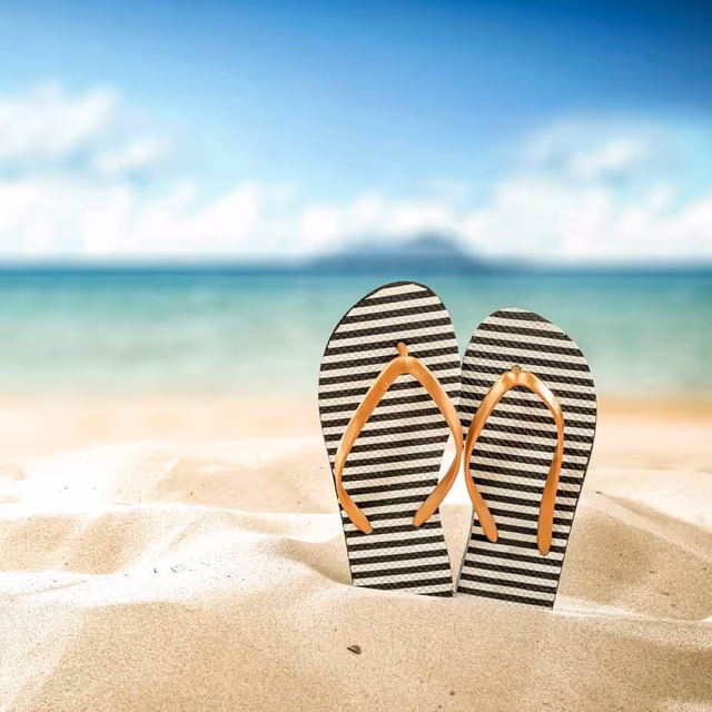National Flip Flop Day