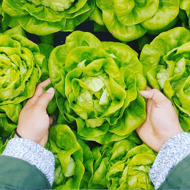 National Food Safety Education Month