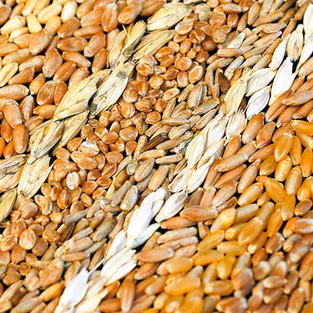 ​National Gluten-Free Day