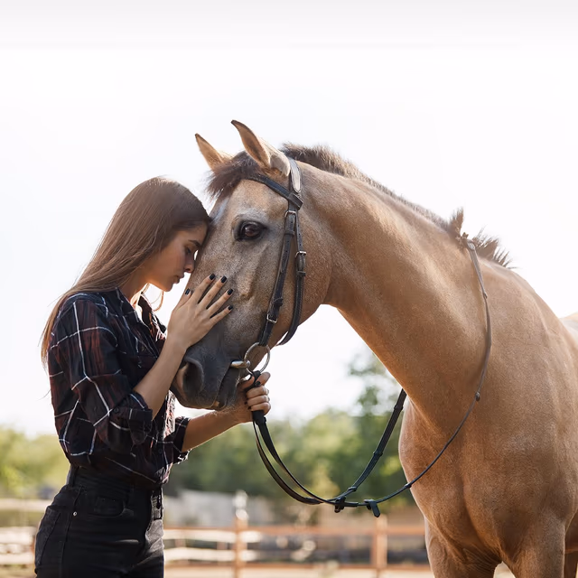 National Horse Protection Day