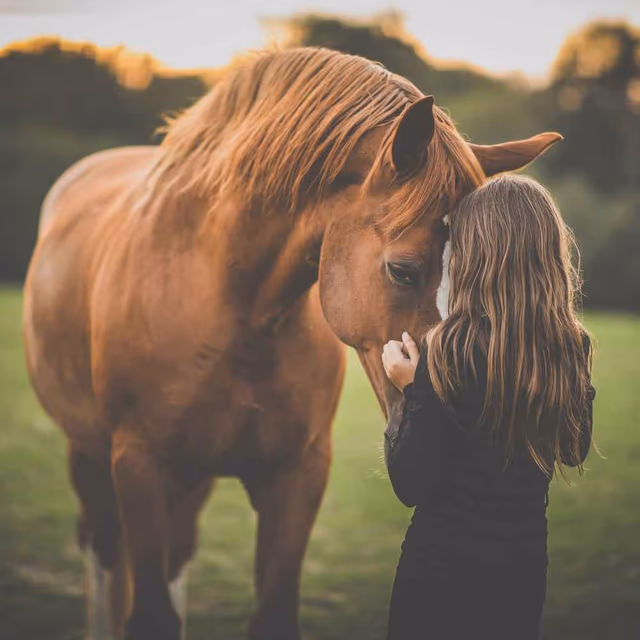 National I Love Horses Day
