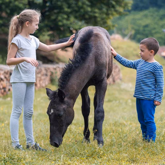 National Kids and Pets Day