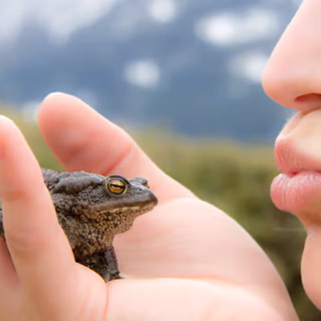 National Kiss A Frog Day
