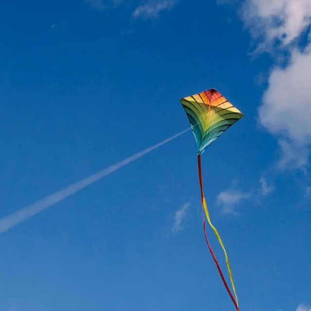 National Kite-Flying Day