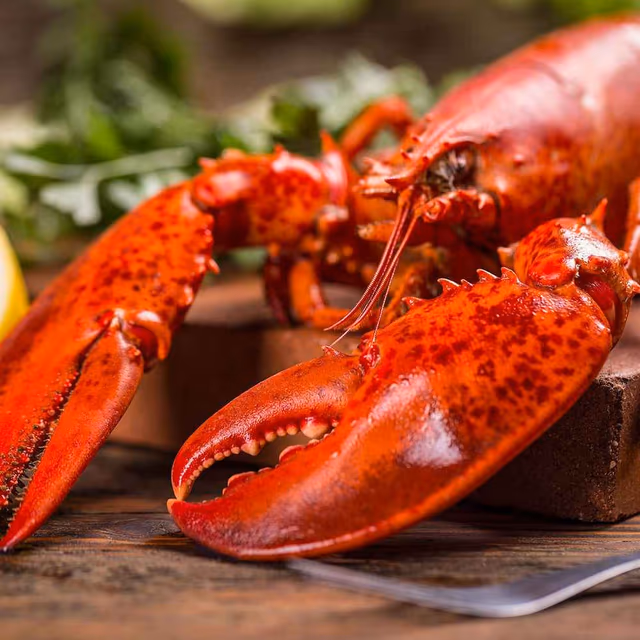 National Lobster Day