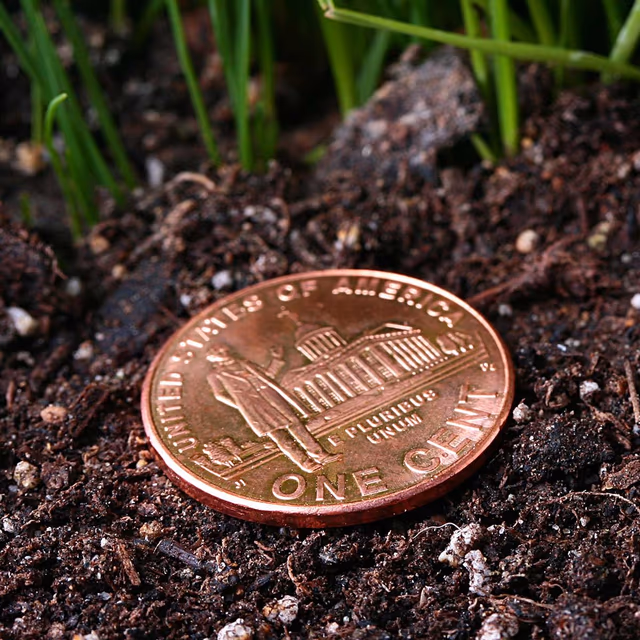 National Lost Penny Day
