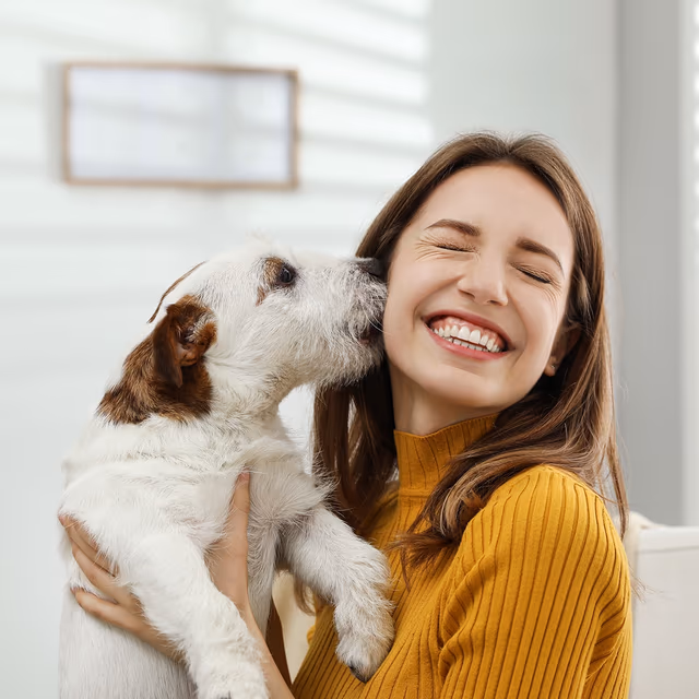 National Lost Pet Prevention Month