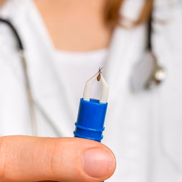 National Lyme Disease Awareness Month