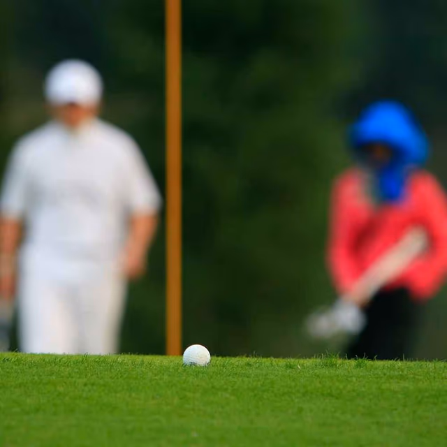​National Mulligan Day