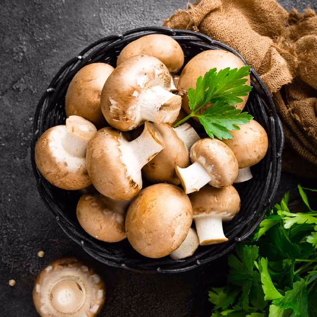 National Mushroom Day