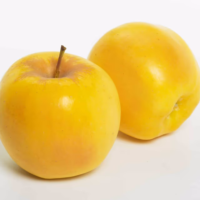 National Opal Apples Day