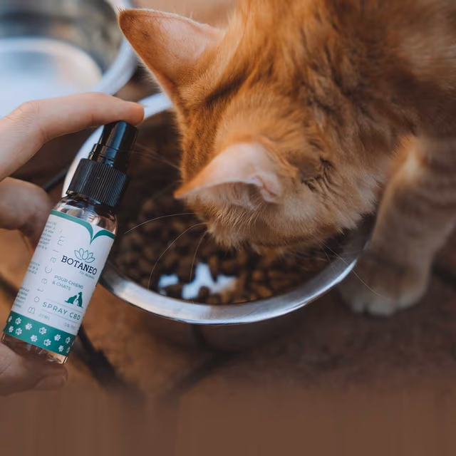 National Pet CBD day