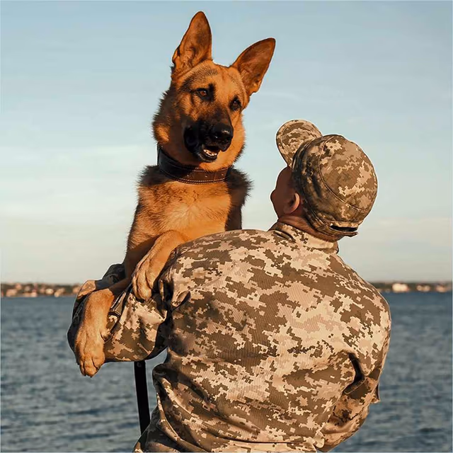 National Pets for Veterans Day