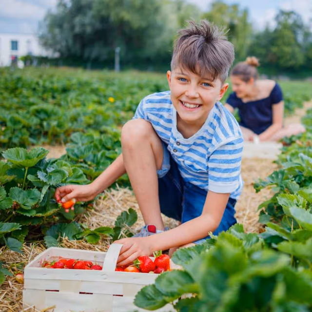 National Pick Strawberries Day