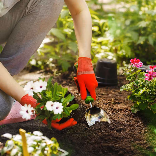 National Plant a Flower Day