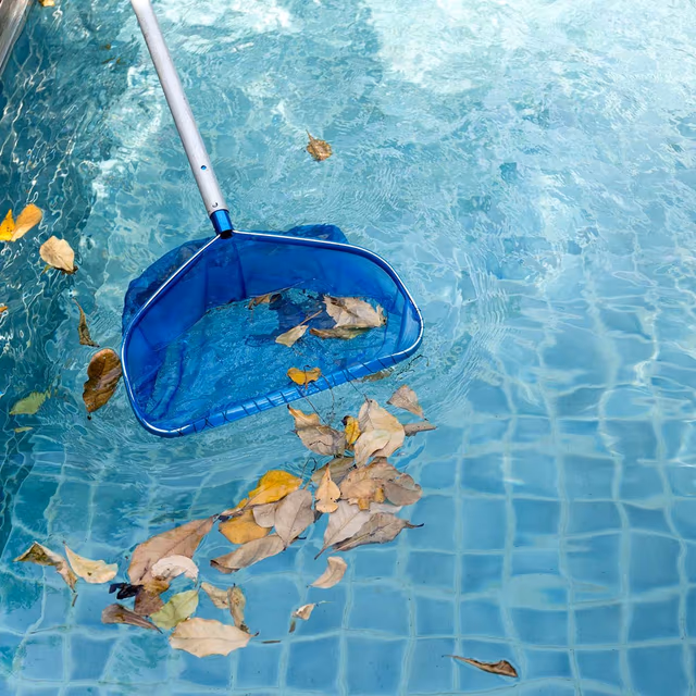 National Pool Opening Day