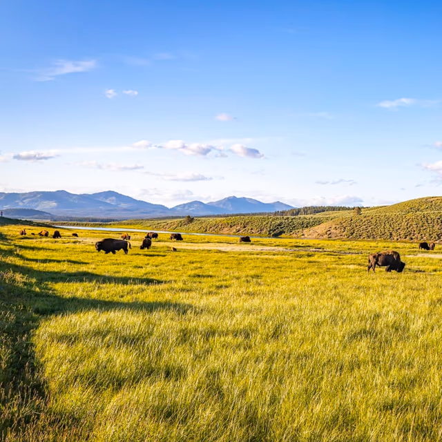 National Prairie Day