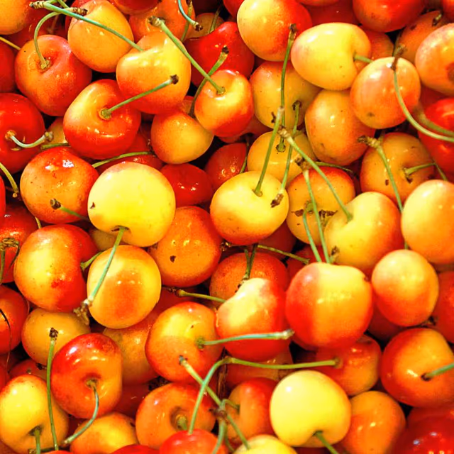 National Rainier Cherry Day