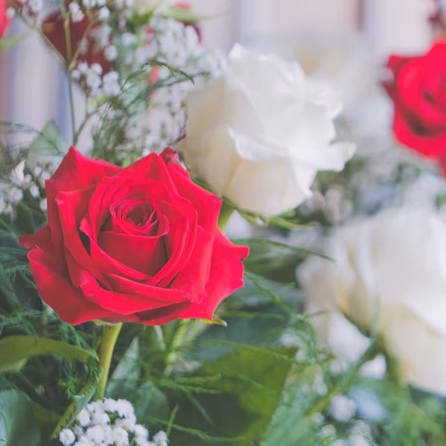 National Rose Month