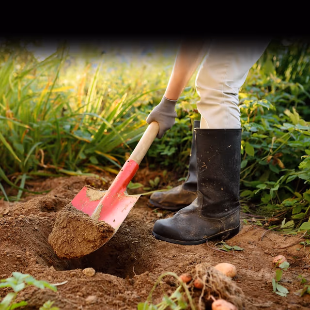 National Safe Digging Month