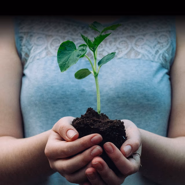 National Seed Swap Day