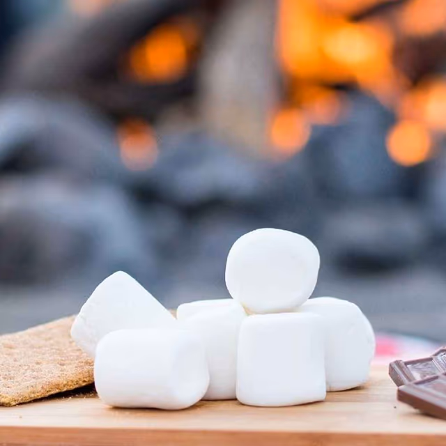 National S’mores Day