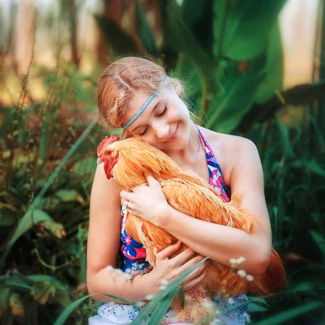 National Snuggle a Chicken Day