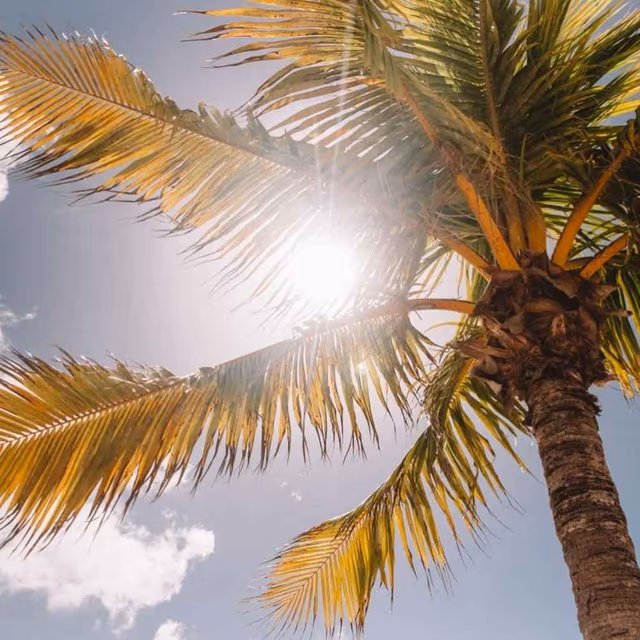 National Stay Out of the Sun Day