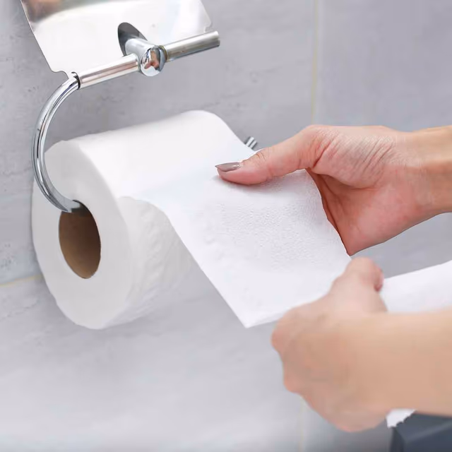 National Toilet Paper Day