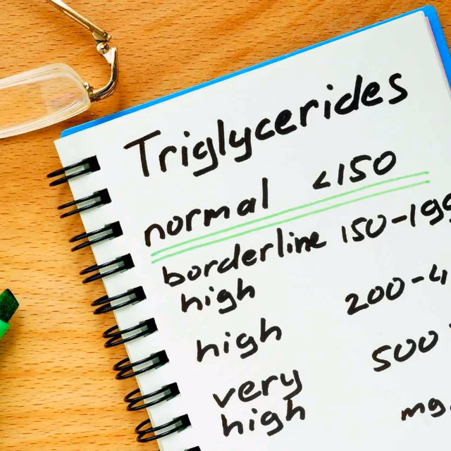 National Triglycerides Day