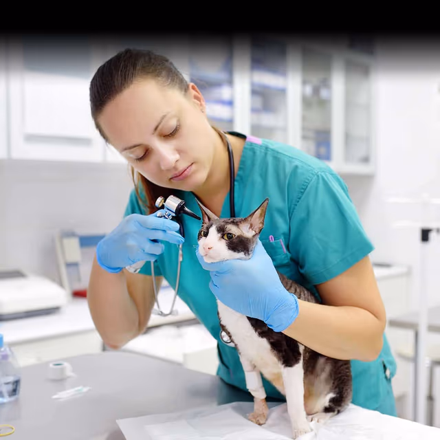 National Veterinary Technician Week