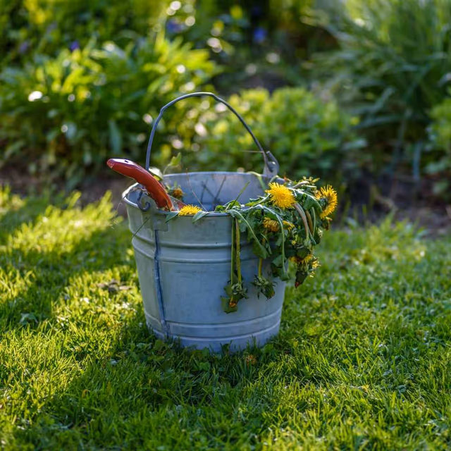 National Weed Your Garden Day