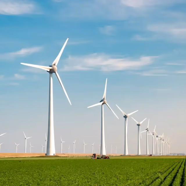 National Windmill Day