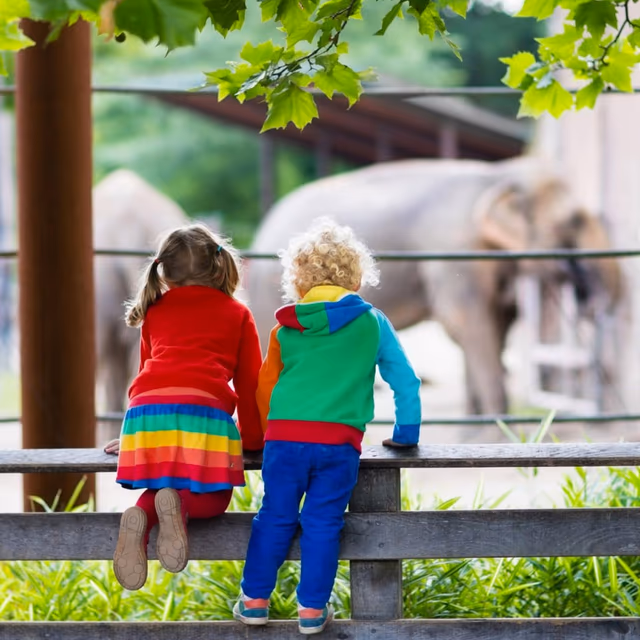 National Zoo and Aquarium Month