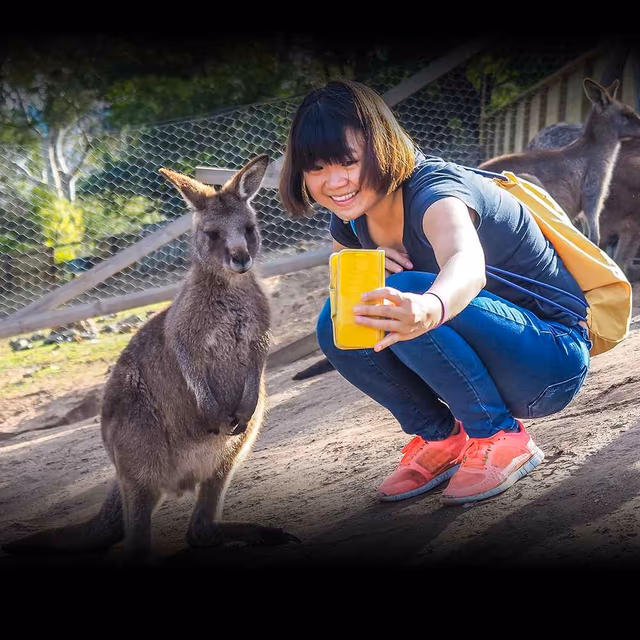 National Zoo Lovers Day