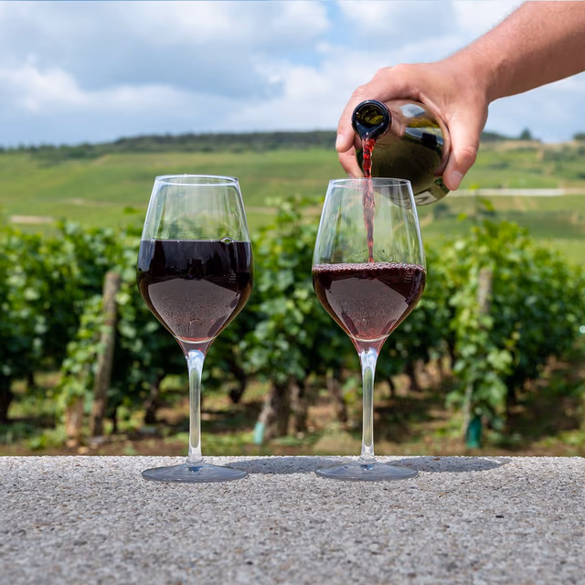 Pinot Noir Day