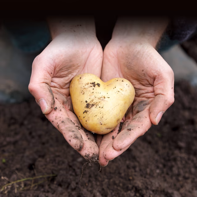 Potato Lovers Month