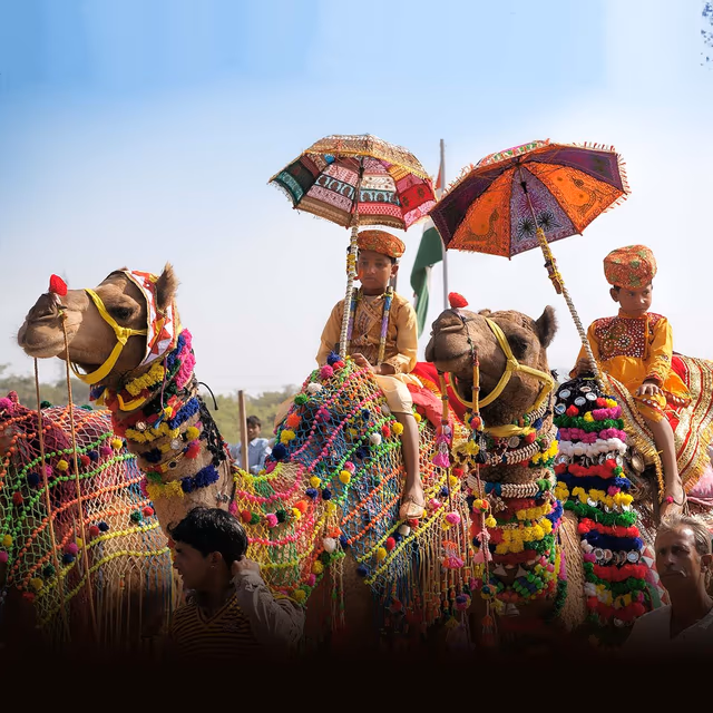 Pushkar Camel Fair Pushkar