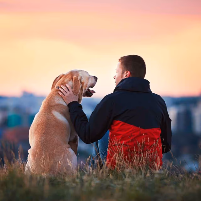 Responsible Dog Ownership Day