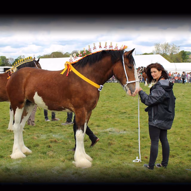 Royal Welsh Show
