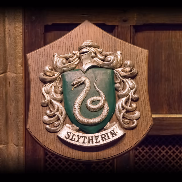 Slytherin Pride Day