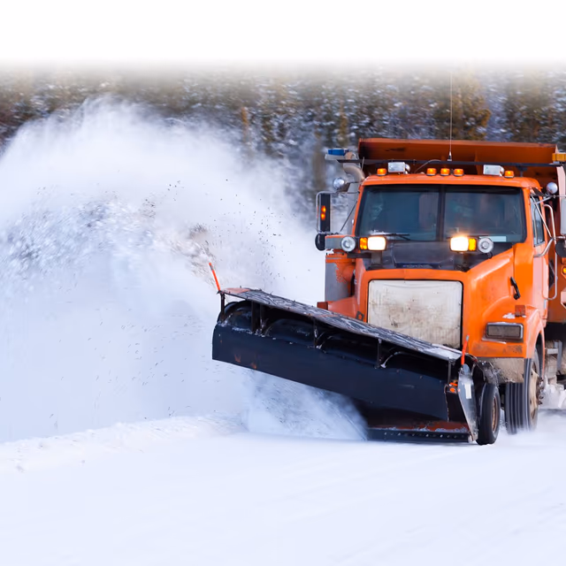 Snowplow Mailbox Hockey Day