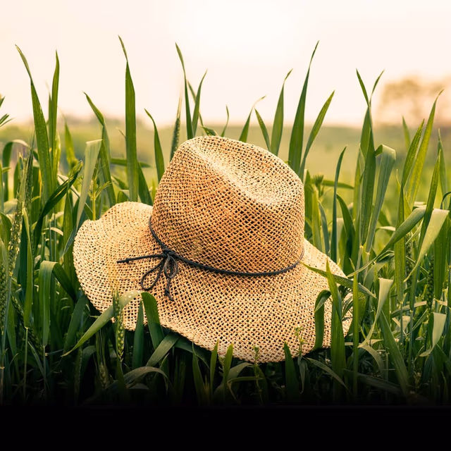 Straw Hat Month