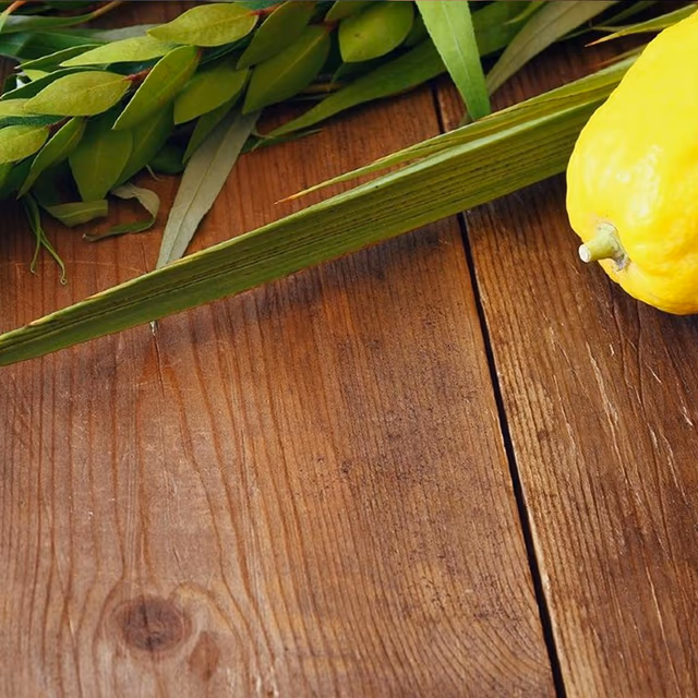 Sukkot