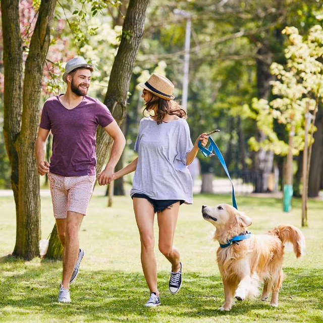 Take a Walk in the Park Day