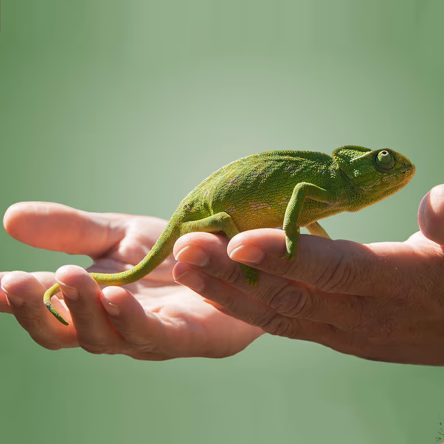 Tenderness Toward Existence Day
