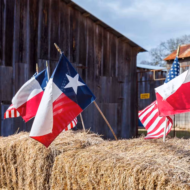 Texas Independence Day