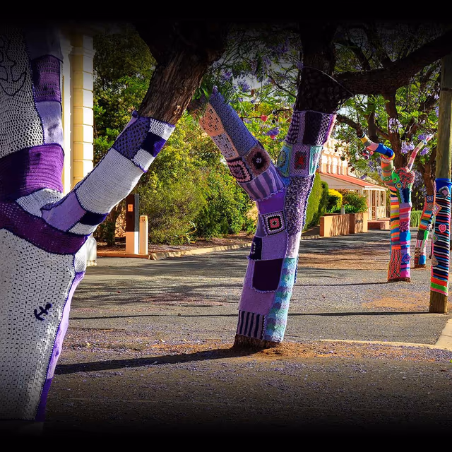 Tree Dressing Day