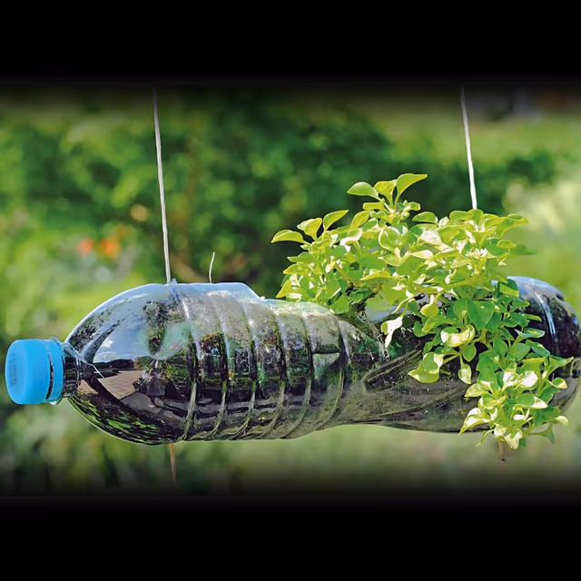Upcycling Day